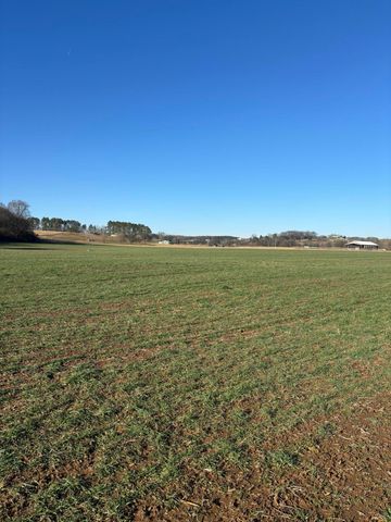168 Moby Road Road, Delano, TN 37325
