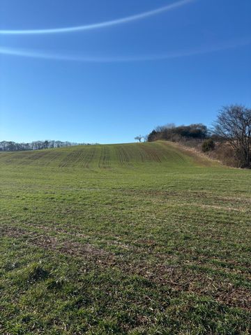 168 Moby Road Road, Delano, TN 37325