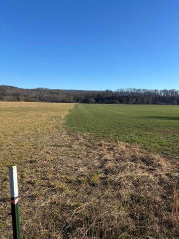 168 Moby Road Road, Delano, TN 37325