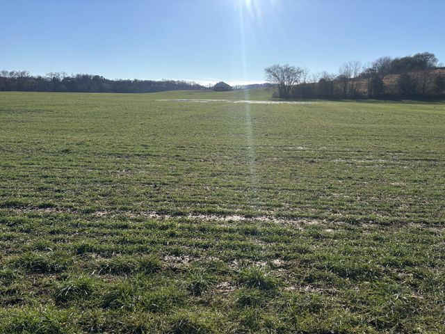 168 Moby Road Road, Delano, TN 37325