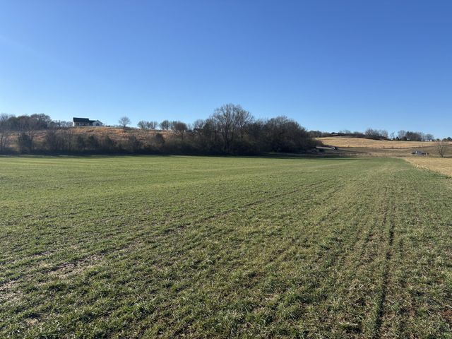 168 Moby Road Road, Delano, TN 37325