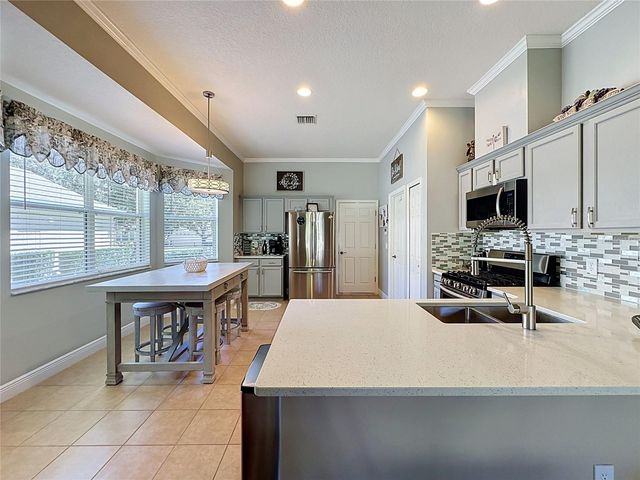 189 BALMY COAST ROAD, Groveland, FL 34736