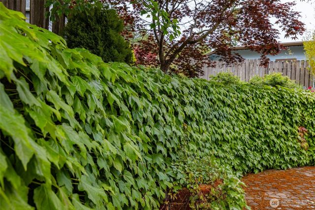 3720 E Broadway Street, Mount Vernon, WA 98274