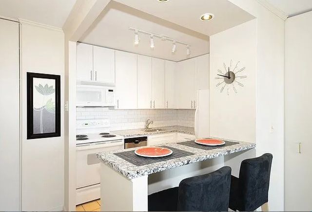 70 W Burton Place 1508, Chicago, IL 60610