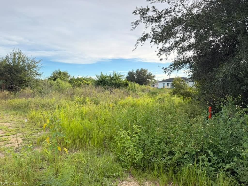 4700 Diane AVE S, LEHIGH ACRES, FL 33976 — exterior