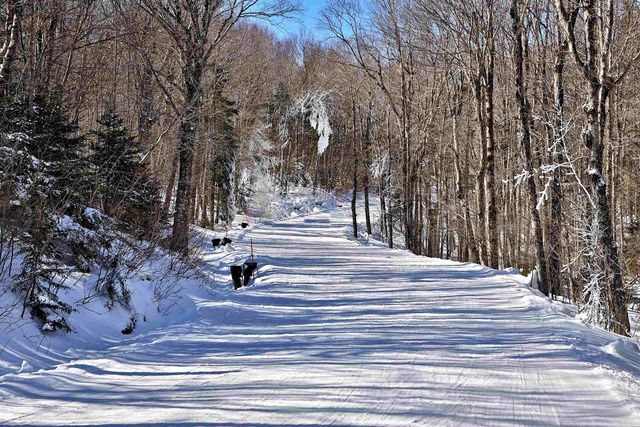 1300 Mountain Road, Ludlow, VT 05149