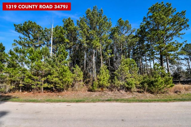 1319 County Road 3479j, Cleveland, TX 77327