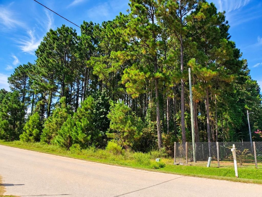 1319 County Road 3479j, Cleveland, TX 77327