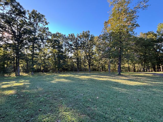 5318 Blackjack School Road, Crane, MO 65633