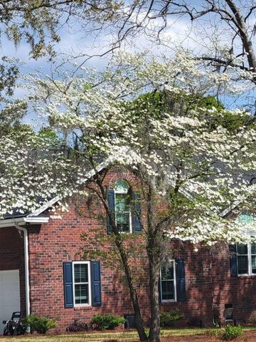 2 Cutchin Court, Charleston, SC 29414