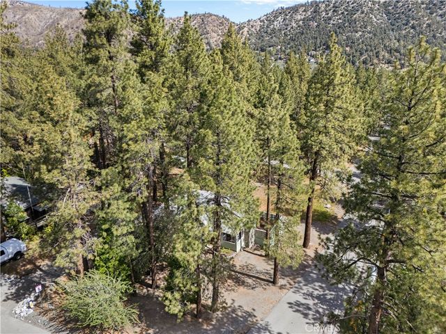 1100 Partridge, Wrightwood, CA 92397