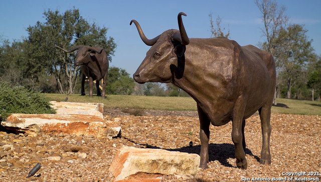 131 Sabine Gull, San Antonio, TX 78253