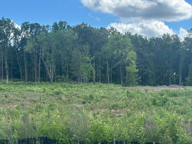 Lots 31-34 Michigan & Minnis Avenue, Cleveland, TN 37323