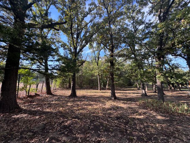 331 Frosty Hollow Road, Denison, TX 75021
