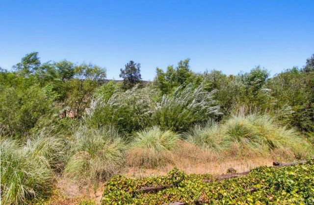 31122 Old River Road, Bonsall, CA 92003