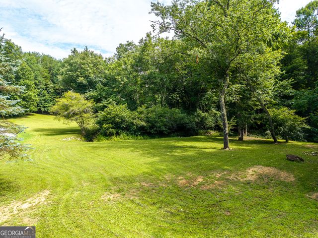 1347 Ivylog Drive, Blairsville, GA 30512