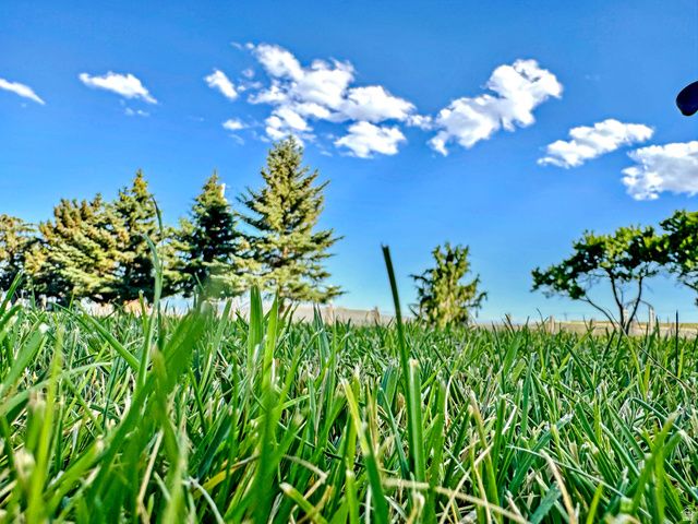 6995 W 2200 S, Weston, ID 83286