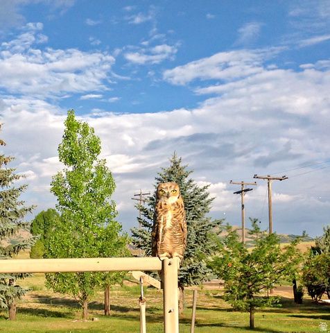 6995 W 2200 S, Weston, ID 83286