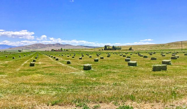 6995 W 2200 S, Weston, ID 83286