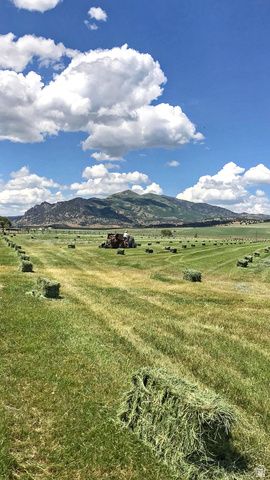 6995 W 2200 S, Weston, ID 83286