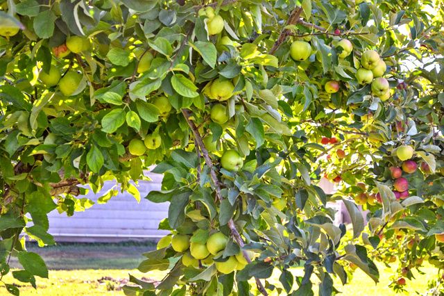 6995 W 2200 S, Weston, ID 83286