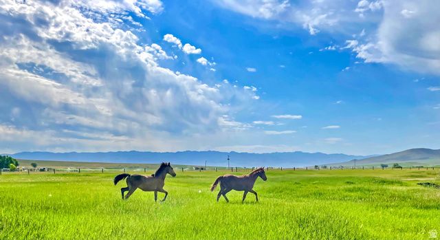 6995 W 2200 S, Weston, ID 83286