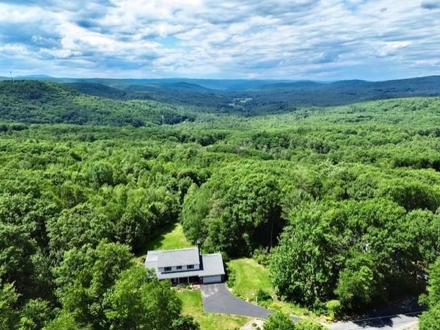 78 Wellington Drive, Chesterfield, NH 03462