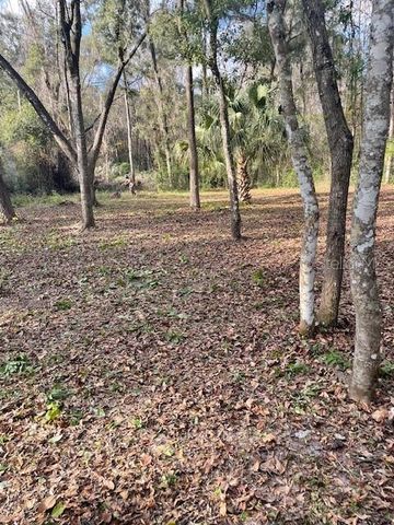 NE 164 LANE, Citra, FL 32113