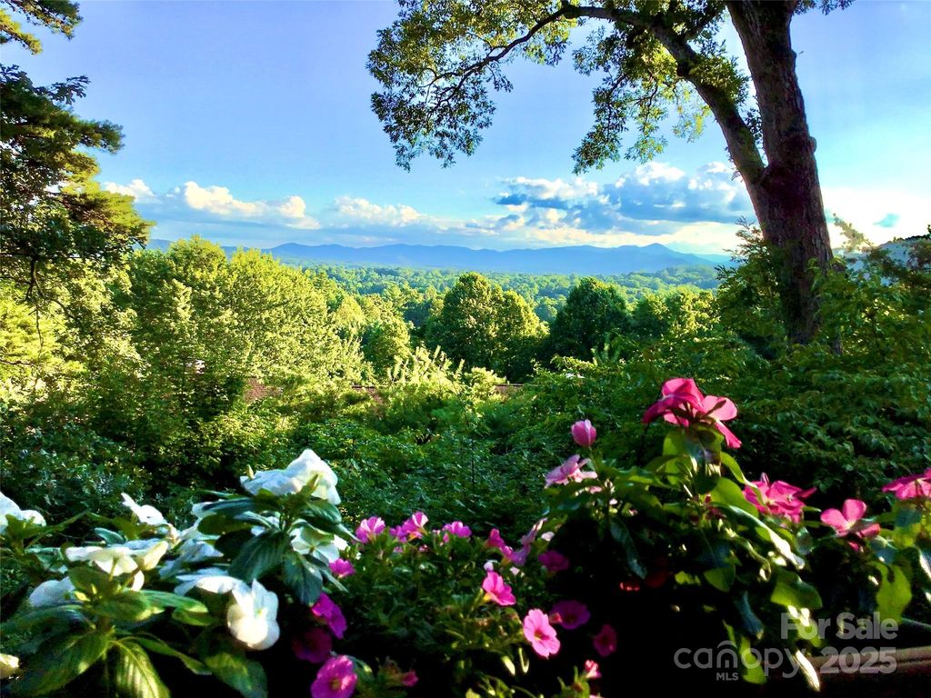 305 Piney Mountain Drive C-1, Asheville, NC 28805