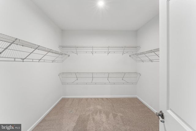 6611 SHELTON LN, Spotsylvania, VA 22553
