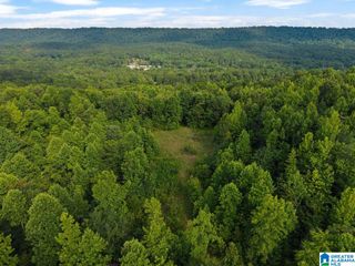 Lot #4 HIGHWAY 75, Oneonta, AL 35121