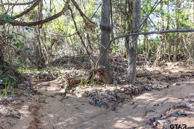 Lot 93 Ridgeline loop, Winona, TX 75792