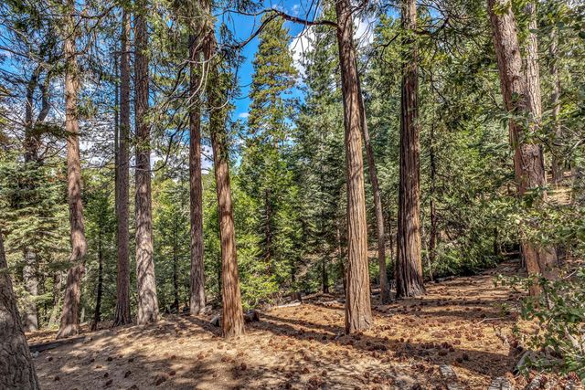 52680 Pine Ridge Road, Idyllwild, CA 92549