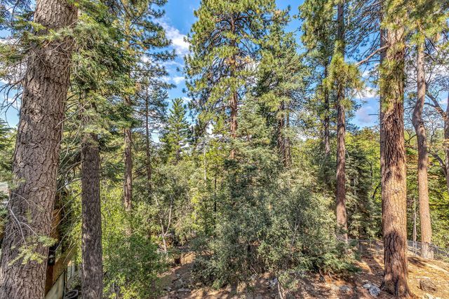 52680 Pine Ridge Road, Idyllwild, CA 92549