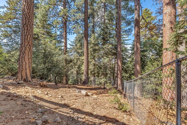 52680 Pine Ridge Road, Idyllwild, CA 92549