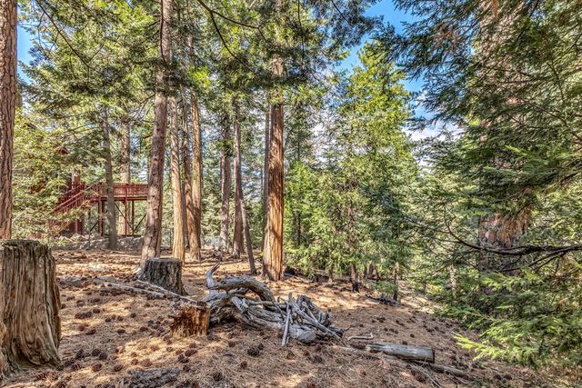 52680 Pine Ridge Road, Idyllwild, CA 92549