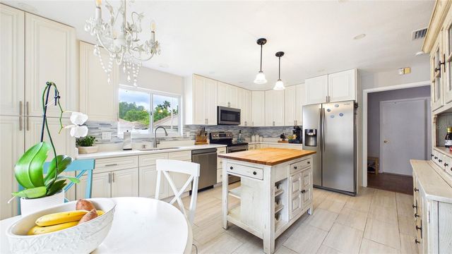 5909 BITTERWOOD COURT, Tampa, FL 33625