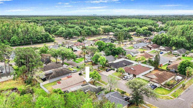 5909 BITTERWOOD COURT, Tampa, FL 33625