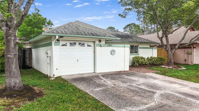 5909 BITTERWOOD COURT, Tampa, FL 33625