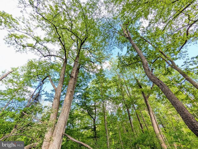 3964 HIDDEN VALLEY LN, Linden, VA 22642