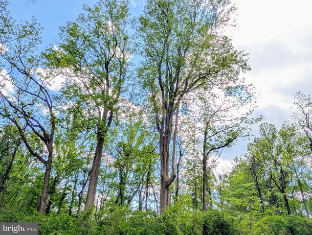3964 HIDDEN VALLEY LN, Linden, VA 22642