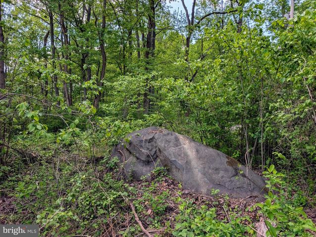 3964 HIDDEN VALLEY LN, Linden, VA 22642