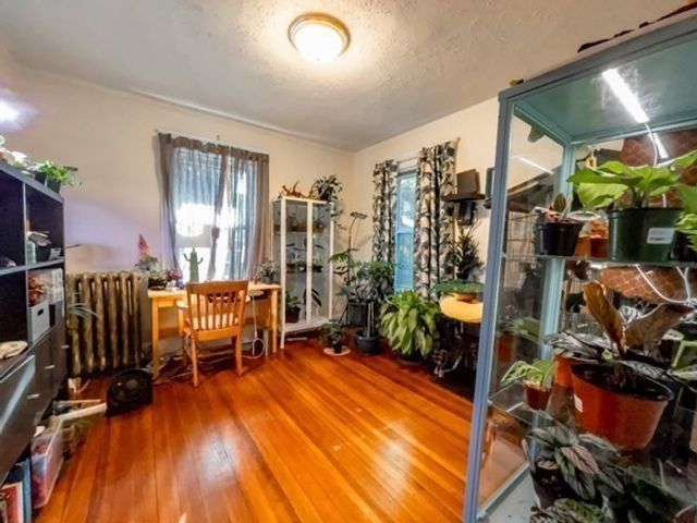 8 Parkton Road 1, Boston, MA 02130