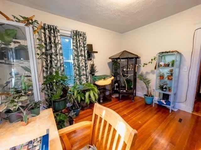 8 Parkton Road 1, Boston, MA 02130