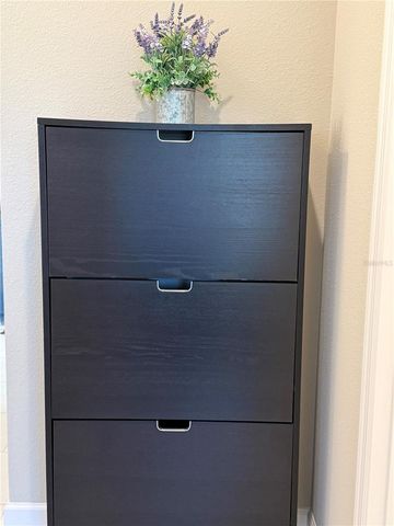 3060 MOUNTAIN SPRUCE TERRACE, Wesley Chapel, FL 33543