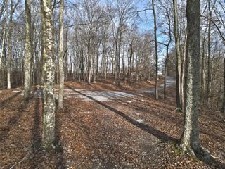 45 Carson Road, Russell Springs, KY 42642