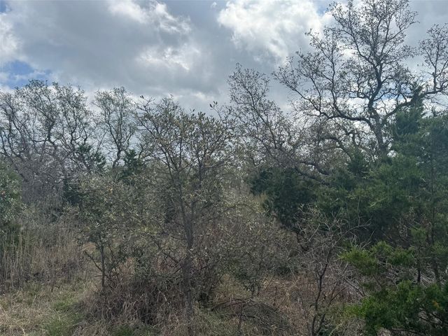 Lot 33 Eagle Feather, Kingsland, TX 78639