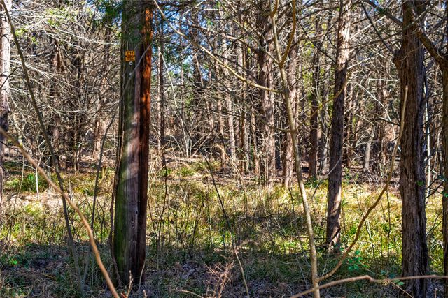 TBD Fm Rd 2965, Wills Point, TX 75169