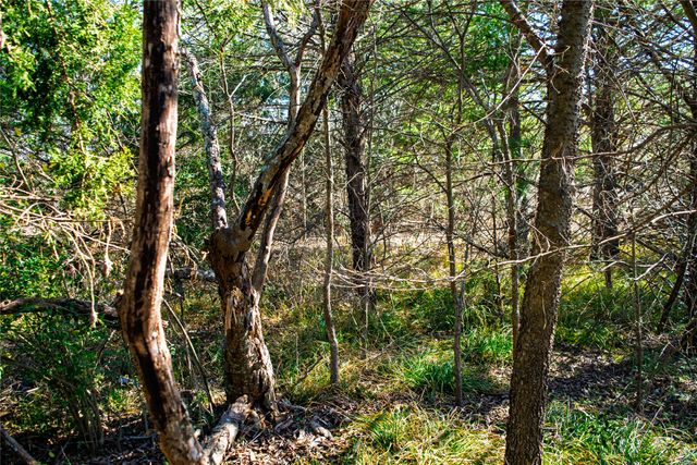 TBD Fm Rd 2965, Wills Point, TX 75169