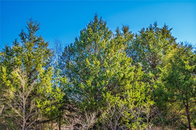 TBD Fm Rd 2965, Wills Point, TX 75169